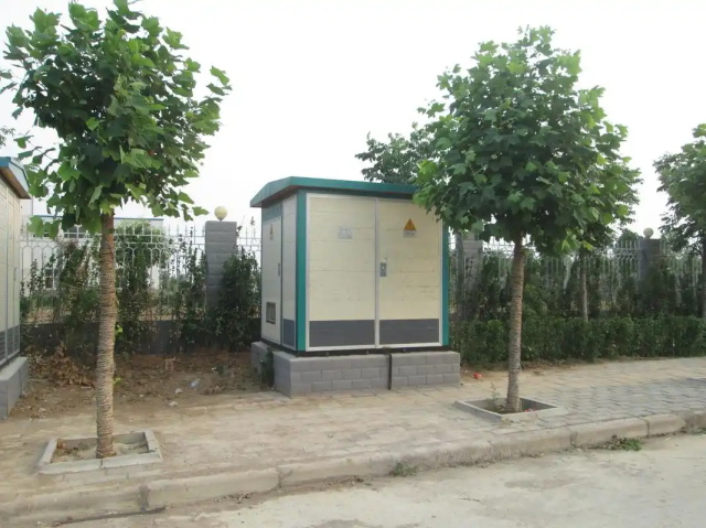 新丰1000KVA欧式箱式变压器